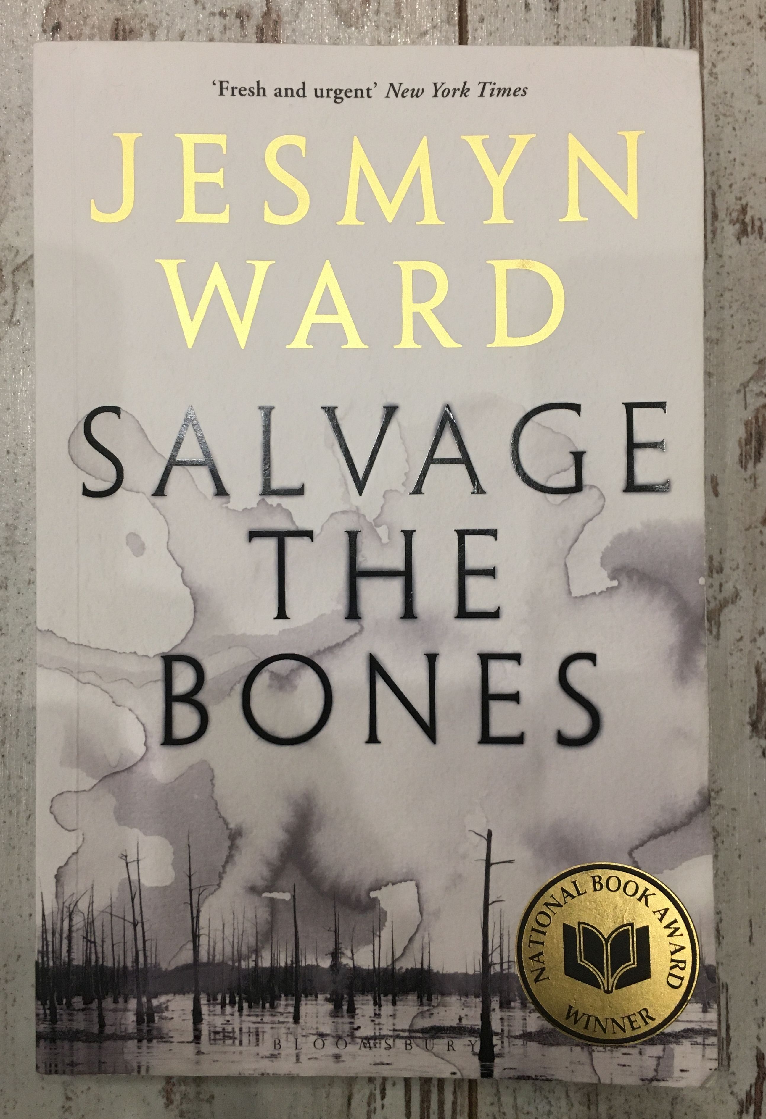 salvage the bones author